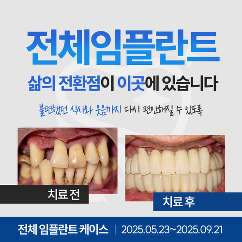 드림